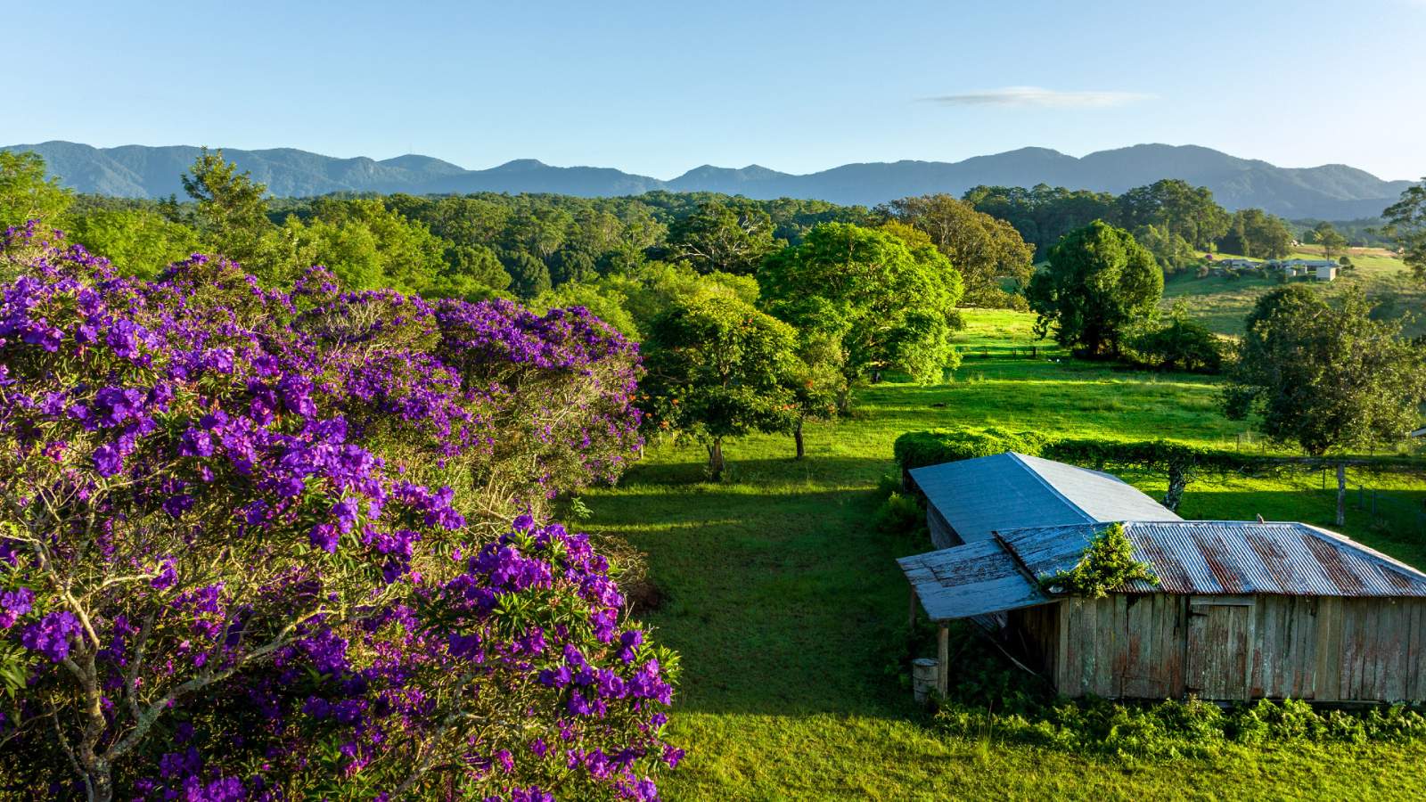 [Land for Sale] Taylors Rise Estate, Bellingen OpenLot